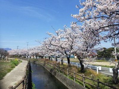 🌸新年度がスタートします🌸