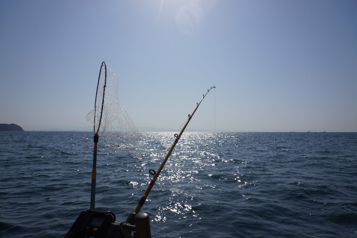 海釣りin伊東