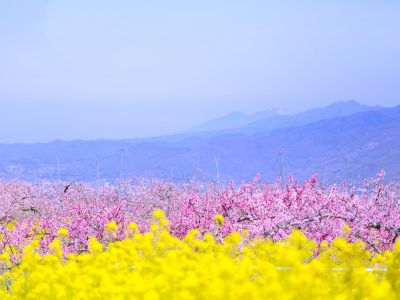 ハロートレーニング「42期 基本から学ぶパソコン習得科」2ヶ月目の報告