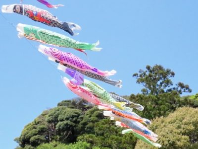 ハロートレーニング「42期 基本から学ぶパソコン習得科」修了のご報告