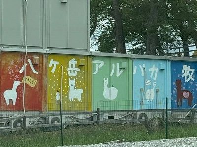 もふもふのアルパカに会ってきました(*´ω｀)