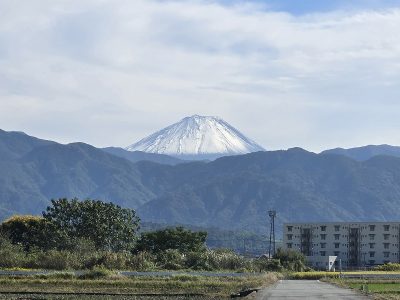 ハロートレーニング「43期 パソコン基礎中級科2（総務事務・HP更新含む）」修了の報告