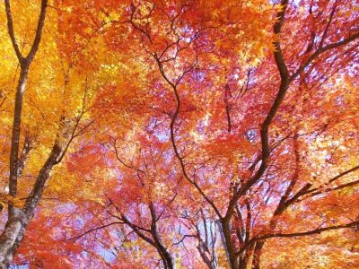 ハロートレーニング「44期 パソコン基礎中級科4（HP更新含む）」スタート