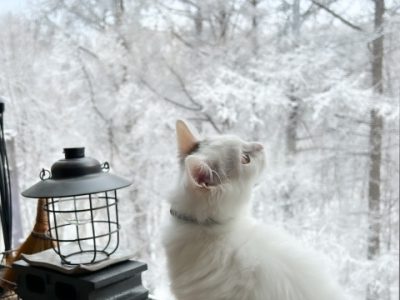 ハロートレーニング「44期 パソコン基礎中級科4（HP更新含む）」2ヵ月目の報告