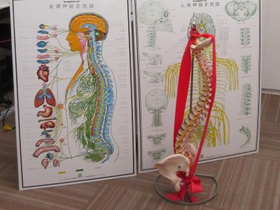 R7.12.15「正しい姿勢を学ぼう!」